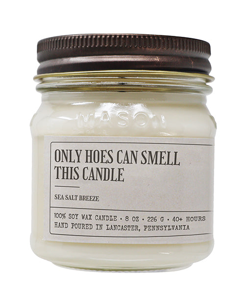 Funny Candle – 8 oz Soy Vibe